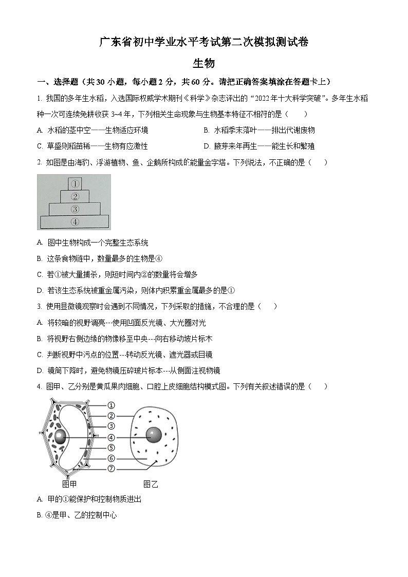 2024年广东省东莞市中考二模生物试题（原卷版+解析版）01