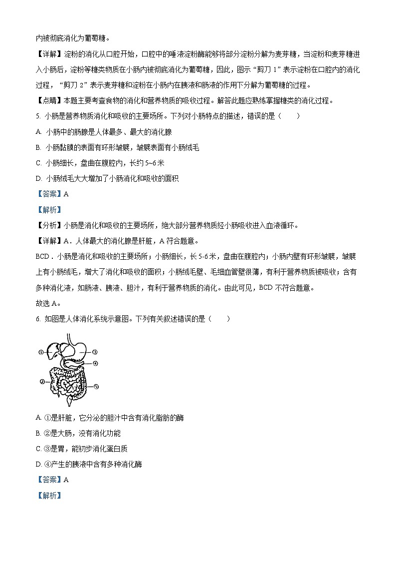 河北省唐山市丰润区2023-2024学年七年级下学期期中生物试题（原卷版+解析版）03