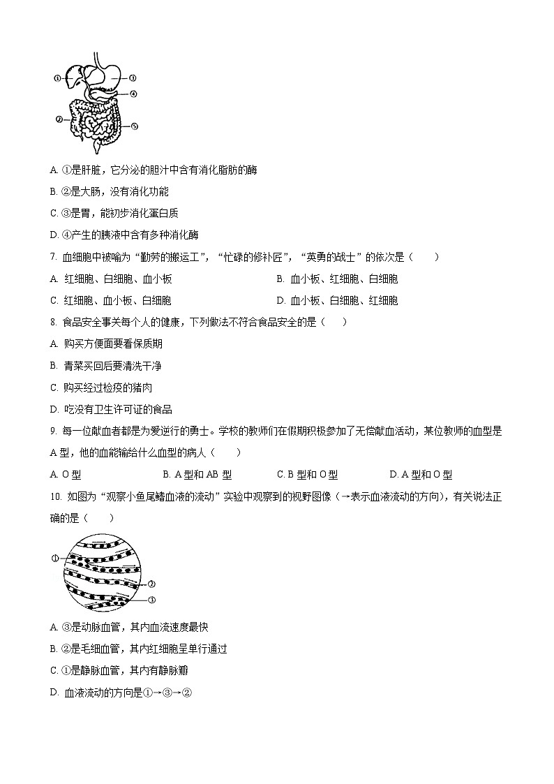 河北省唐山市丰润区2023-2024学年七年级下学期期中生物试题（原卷版+解析版）02
