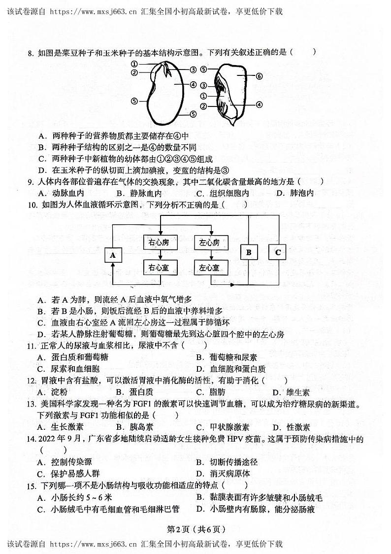 2024年广东省梅州市丰顺县八年级初中学业水平考试统一质量检测生物试题02