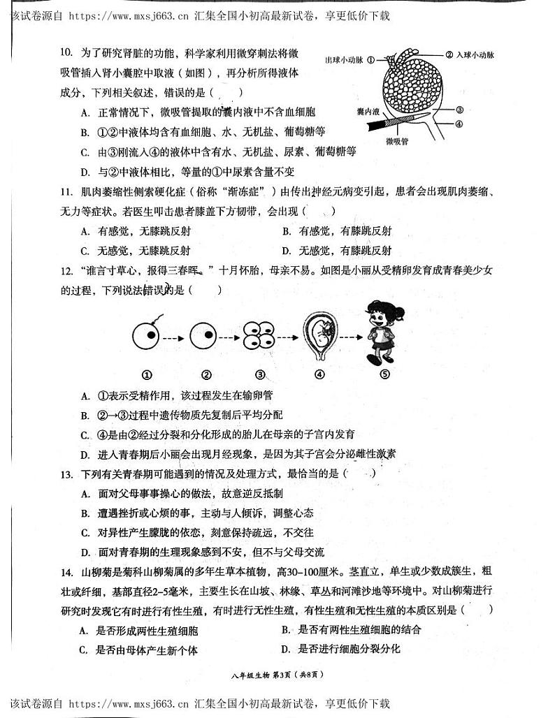 2024年四川省成都市高新技术产业开发区八年级中考模拟预测生物试题第3页