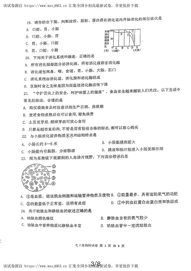 福建省永春第一中学2023-2024学年七年级下学期4月期中生物试题第3页