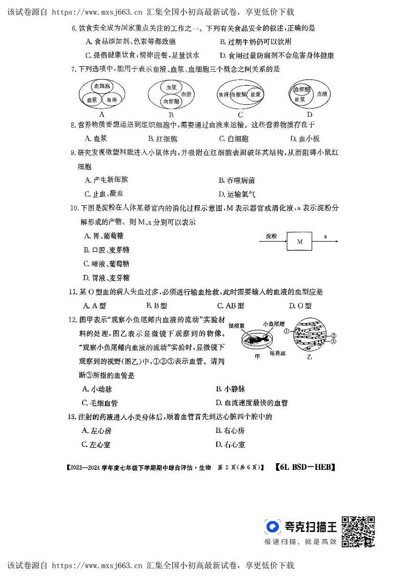 河北省廊坊市2023-2024学年七年级下学期4月期中生物试题02