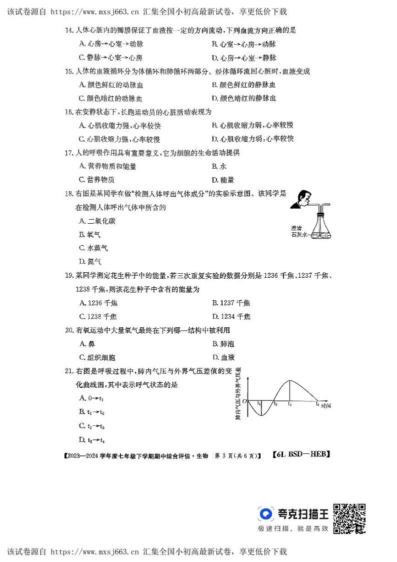 河北省廊坊市2023-2024学年七年级下学期4月期中生物试题03