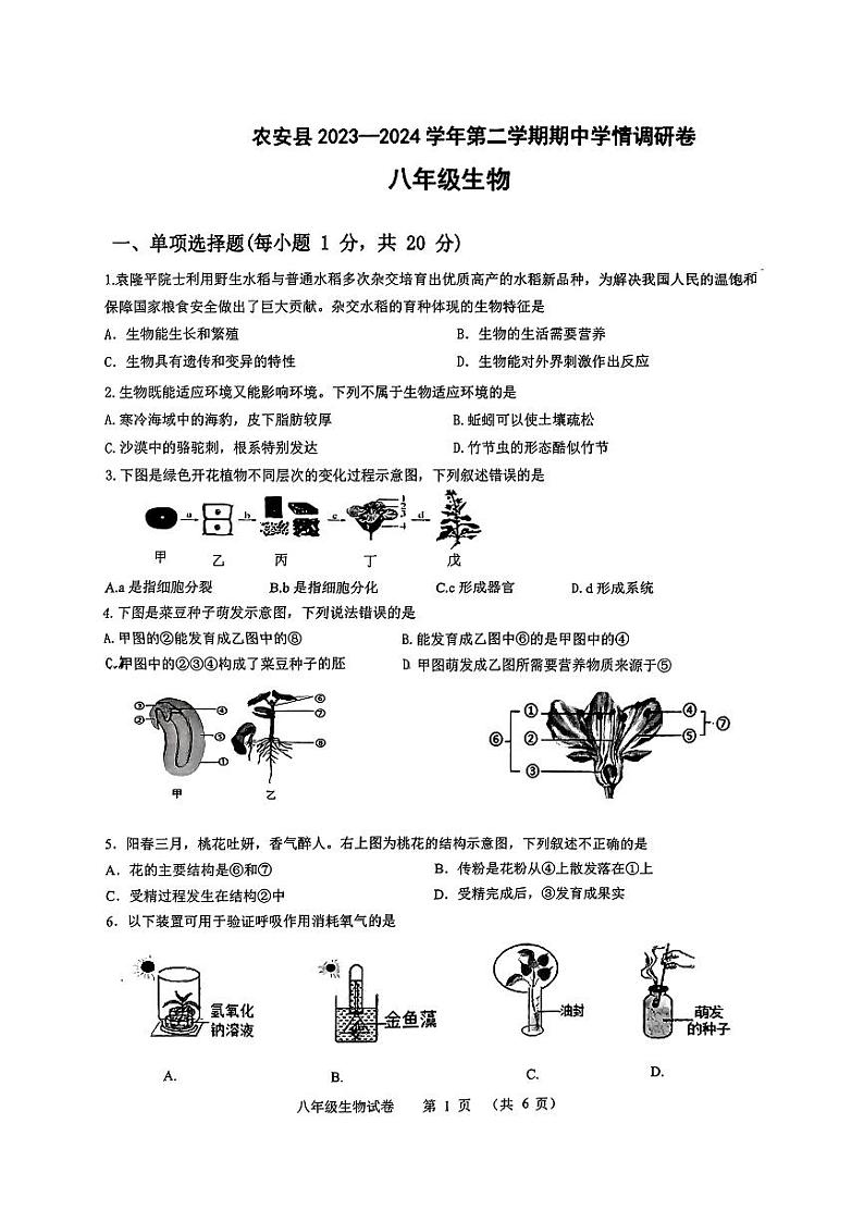 吉林省长春市农安县2023-2024学年八年级下学期4月期中生物试题第1页