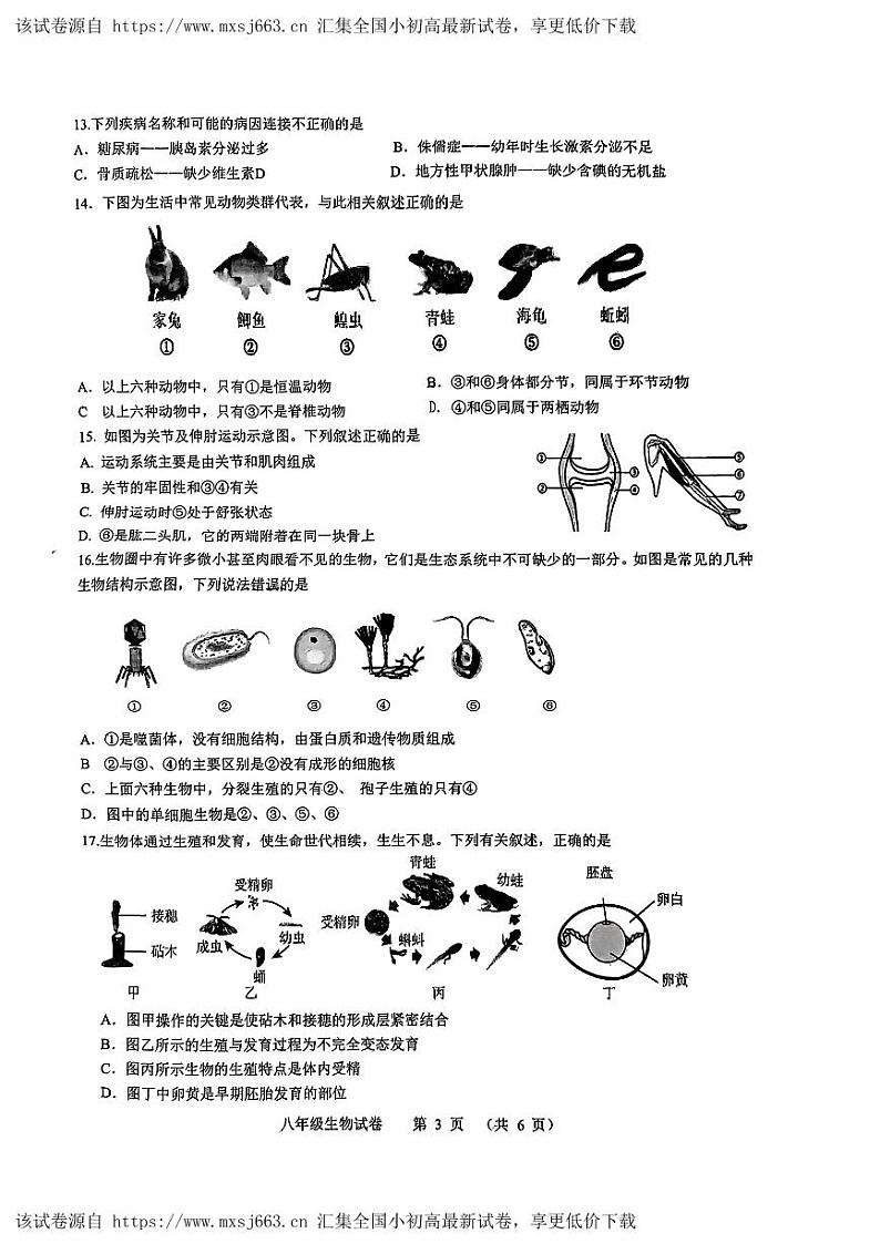 吉林省长春市农安县2023-2024学年八年级下学期4月期中生物试题第3页