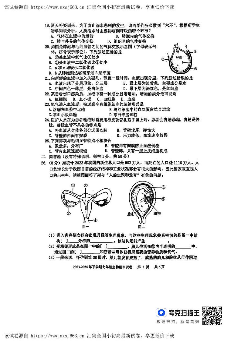 山东省临沂市沂南县2023-2024学年七年级下学期期中生物试题03
