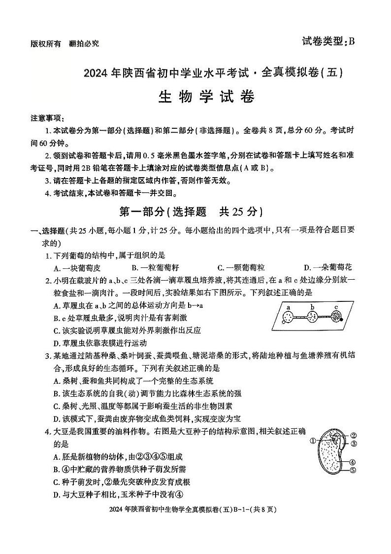 陕西省西安市新城区校园联考2023-2024学年八年级下学期4月期中生物模拟试题01