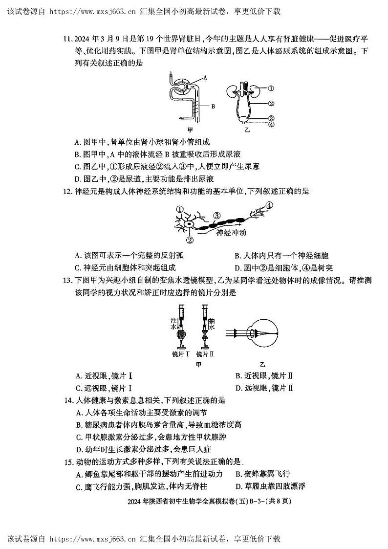 陕西省西安市新城区校园联考2023-2024学年八年级下学期4月期中生物模拟试题03