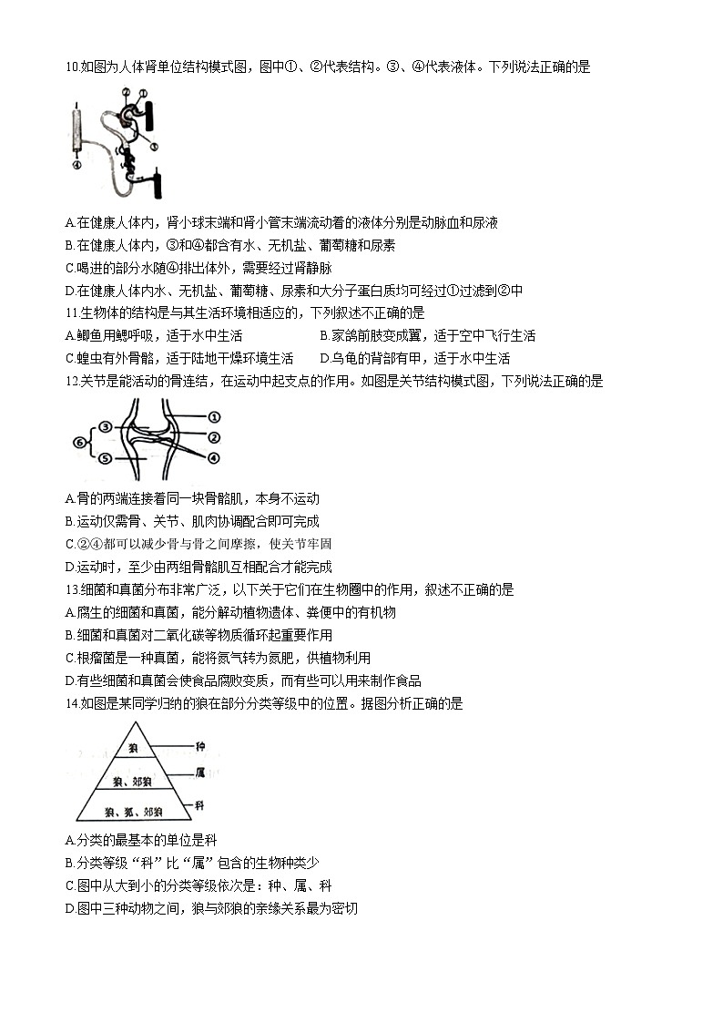 2024年河南省开封市兰考县中考模拟第一次测试生物试卷(无答案)03
