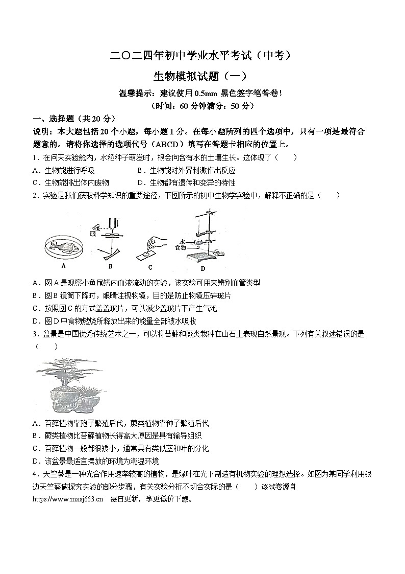 2024年山东省菏泽市成武县九年级初中学业水平考试生物试题（一模）(无答案)01