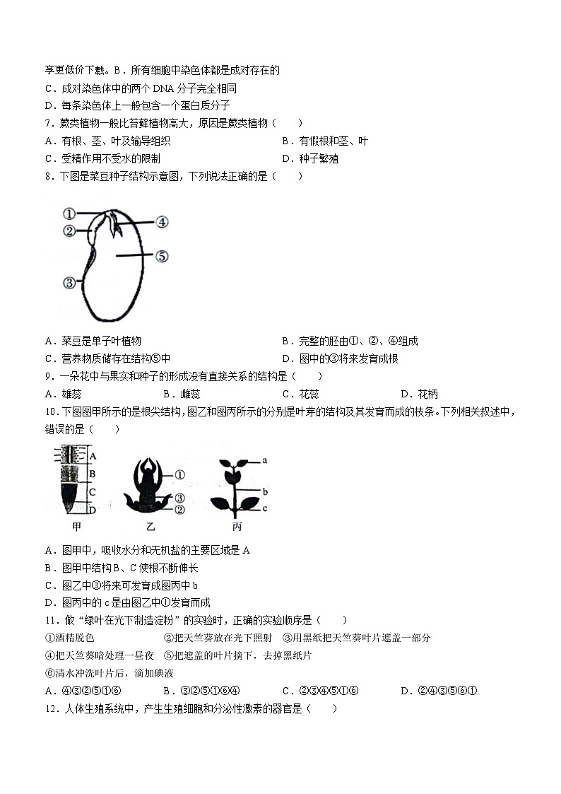 2024年山东省聊城市冠县八年级中考一模生物试题02