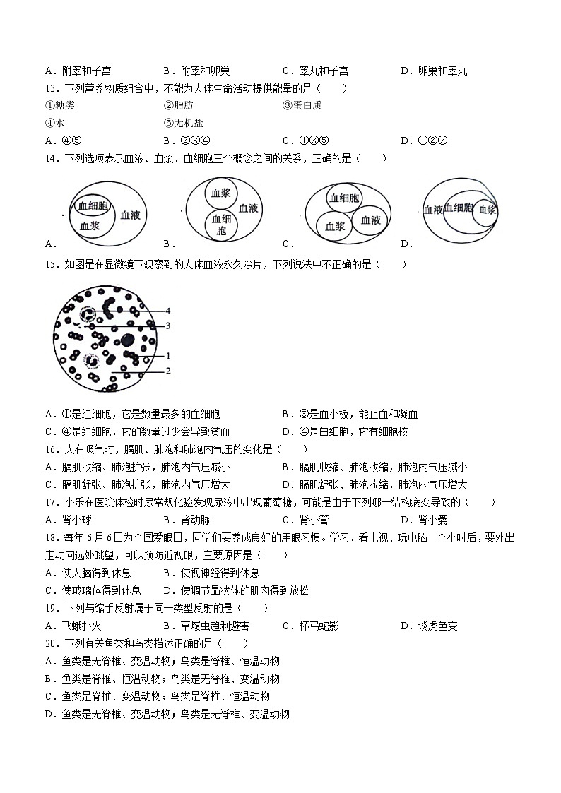 2024年山东省聊城市冠县八年级中考一模生物试题03