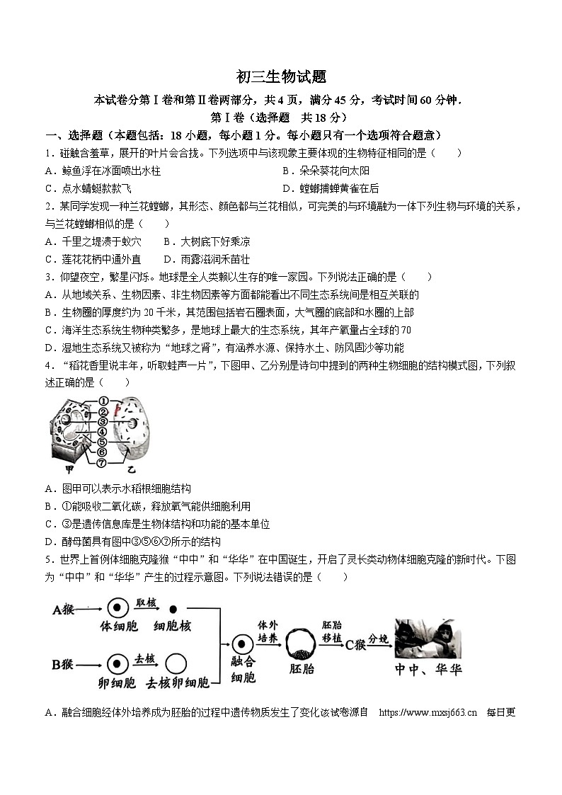 2024年山东省淄博市博山区中考一模生物试卷(无答案)第1页