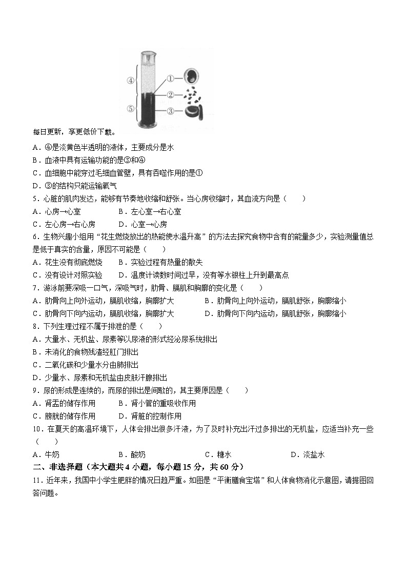 安徽省阜阳市临泉县中学联考2023-2024学年七年级下学期4月期中生物试题02