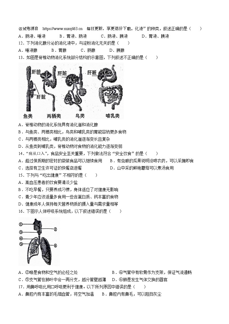 北京师范大学附属中学2023-2024学年七年级下学期期中生物试题(无答案)02