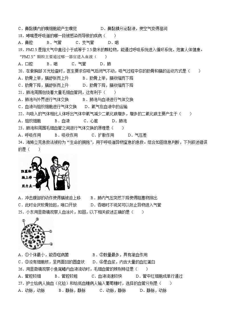 北京师范大学附属中学2023-2024学年七年级下学期期中生物试题(无答案)03