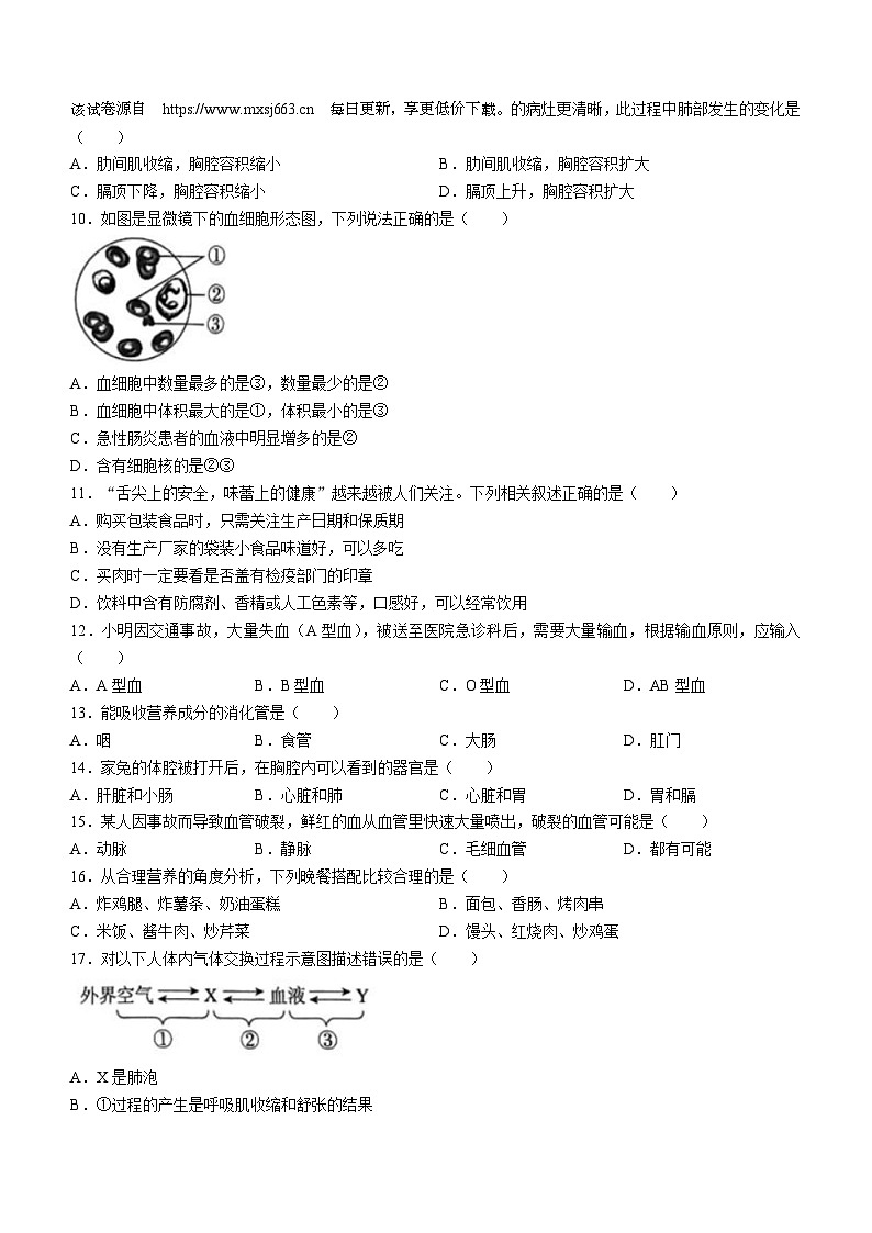 河北省廊坊市霸州市2023-2024学年七年级下学期4月期中生物试题(无答案)02