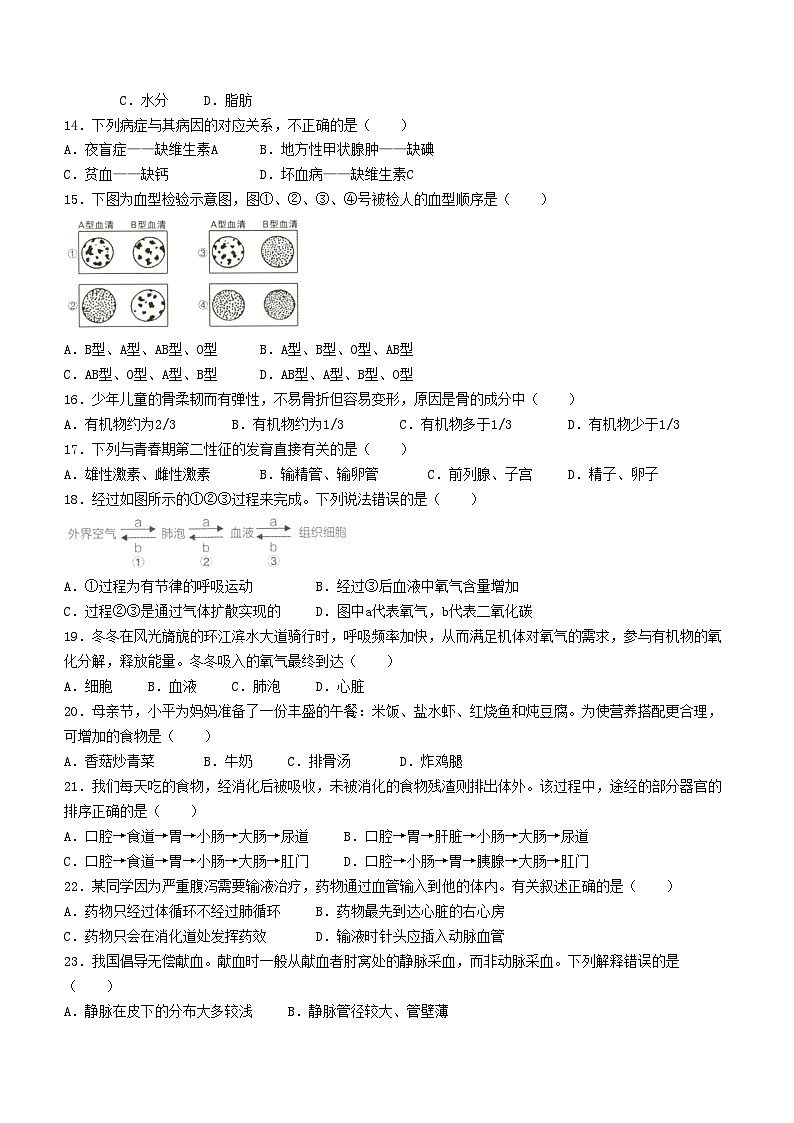 河南省洛阳市新安县2023-2024学年七年级下学期4月期中生物试题02