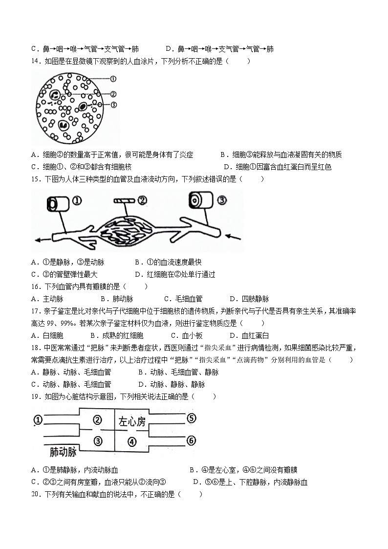 河南省南阳市社旗县2023-2024学年七年级下学期4月期中生物试题(无答案)03