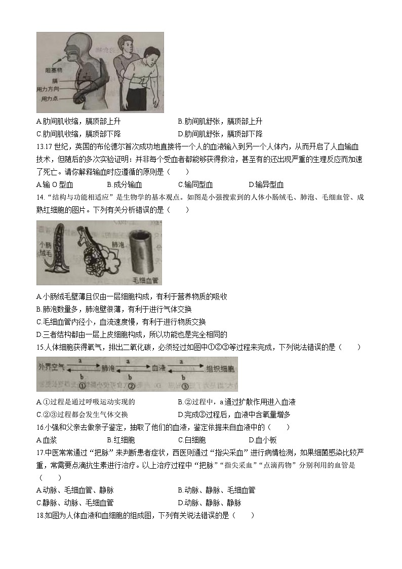 山东省德州市陵城区2023-2024学年七年级下学期期中考试生物试题(无答案)第3页