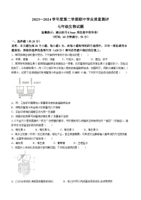 山东省菏泽市成武县2023-2024学年七年级下学期4月期中生物试题(无答案)