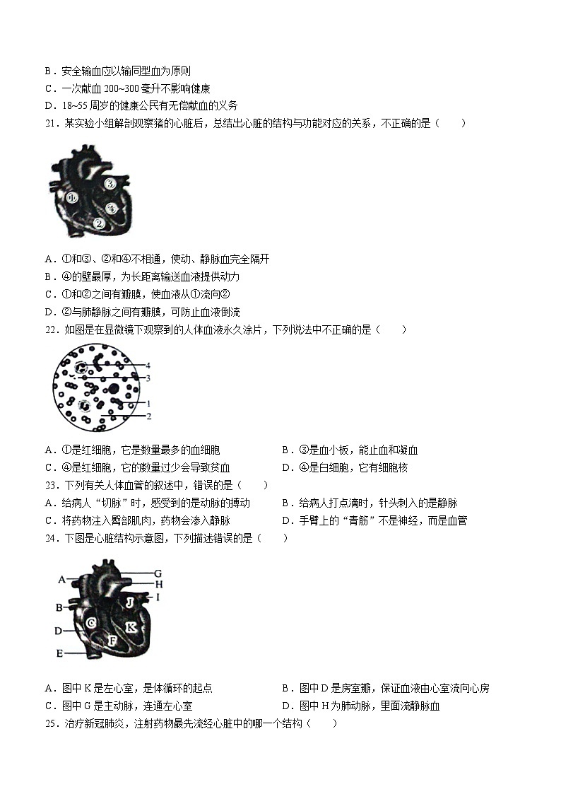 山东省聊城市冠县2023-2024学年七年级下学期4月期中生物试题03