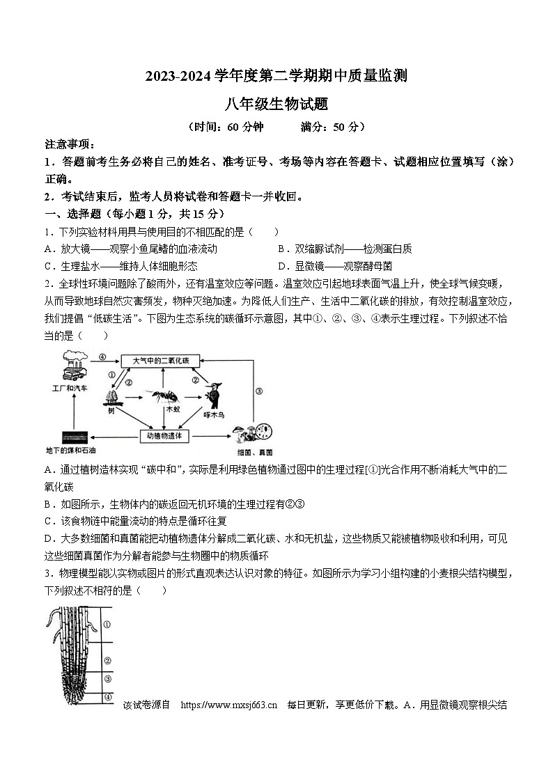 山东省泰安市宁阳县2023-2024学年八年级下学期期中考试生物试题(无答案)第1页