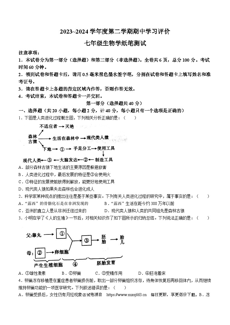陕西省西安市长安区2023--2024学年七年级下学期期中检测生物试题(无答案)01