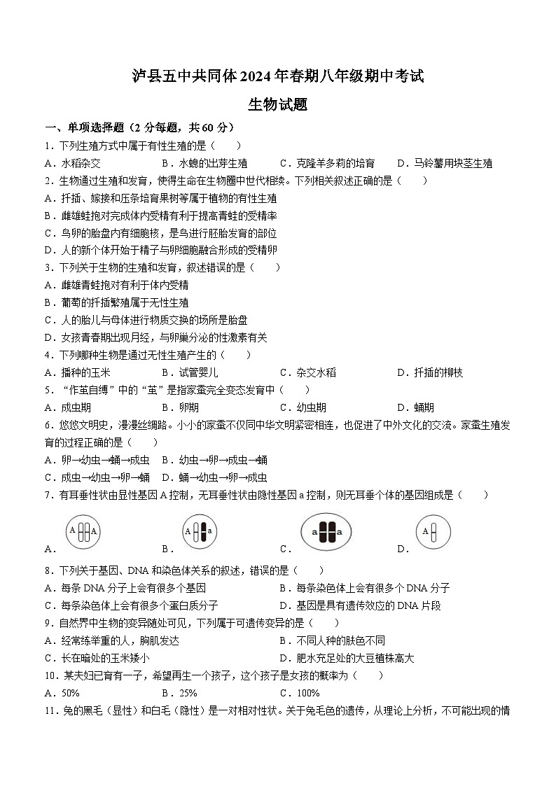 四川省泸县五中共同体2023-2024学年八年级下学期4月期中生物试题第1页