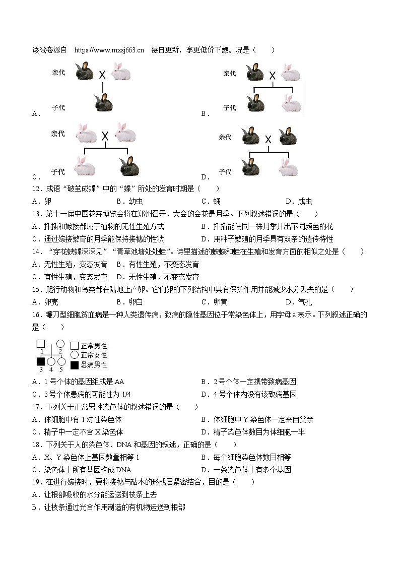 四川省泸县五中共同体2023-2024学年八年级下学期4月期中生物试题第2页