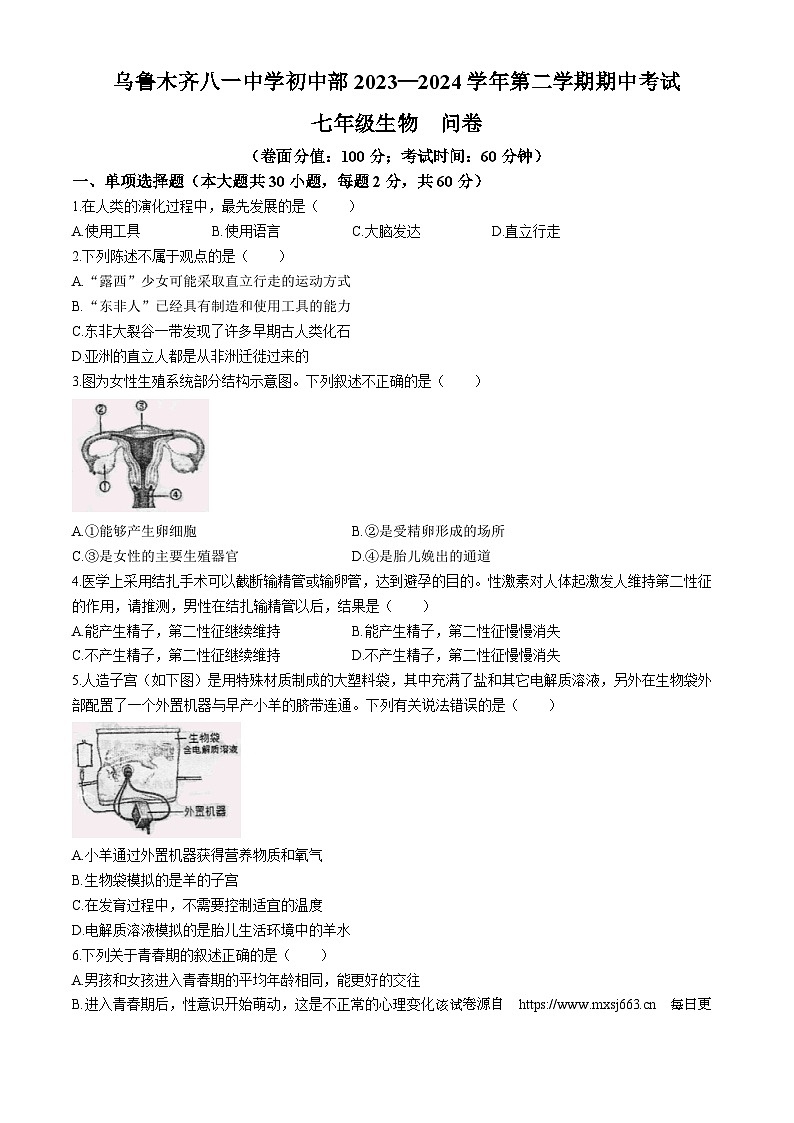 新疆乌鲁木齐市八一中学2023-2024学年七年级下学期期中考试生物试卷(无答案)01