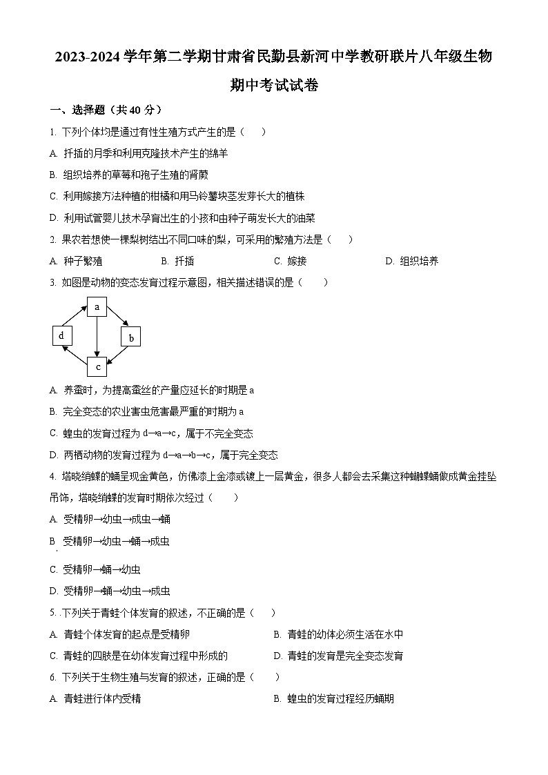 甘肃省武威市民勤县新河中学联片教研2023-2024学年八年级下学期期中生物试题（原卷版+解析版）01