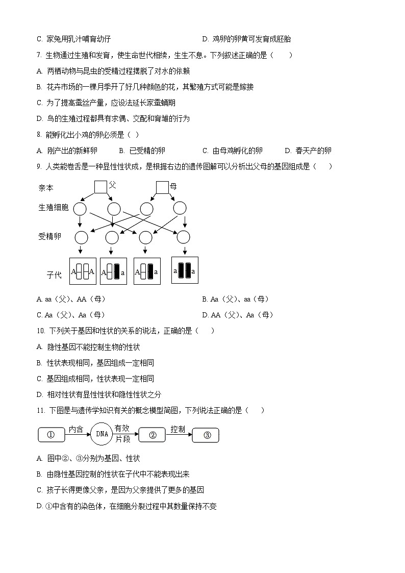甘肃省武威市民勤县新河中学联片教研2023-2024学年八年级下学期期中生物试题（原卷版+解析版）02