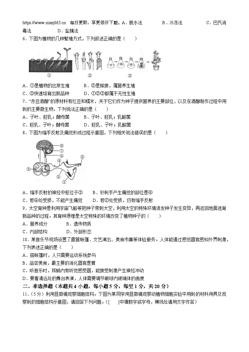 ，2024年安徽省亳州市利辛县八年级中考二模生物试题(无答案)第2页