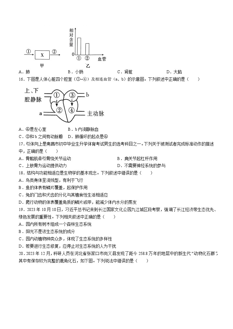 ，2024年江西省九江市瑞昌市八年级中考模拟生物试题03