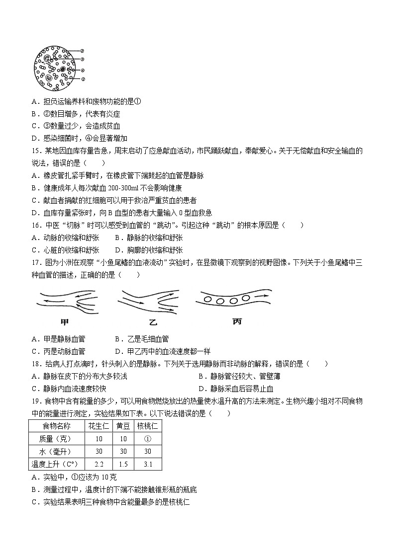 ，广东省韶关市翁源县2023-2024学年七年级下学期4月期中生物试题03