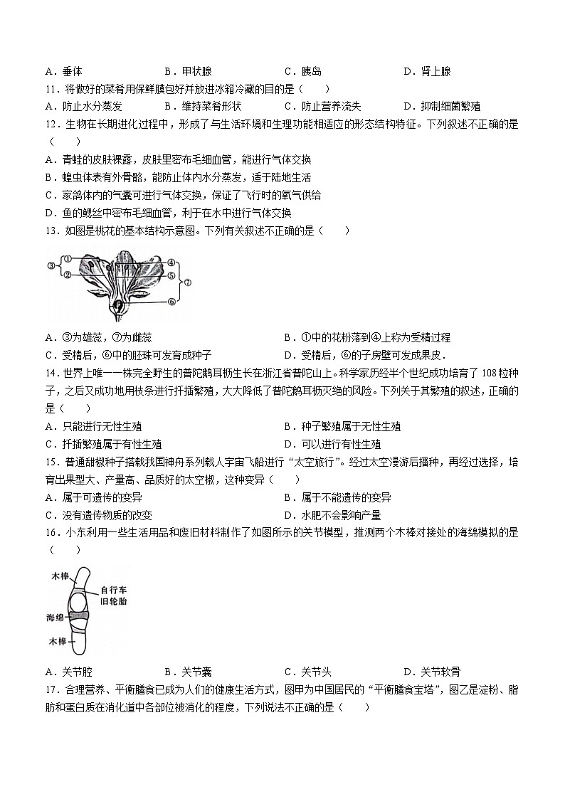 ，河北省雄安新区2023-2024学年八年级下学期期中考试生物试卷03