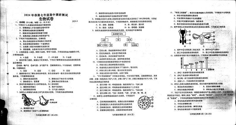 ，河南省南阳市镇平县2023-2024学年七年级下学期4月期中生物试题01