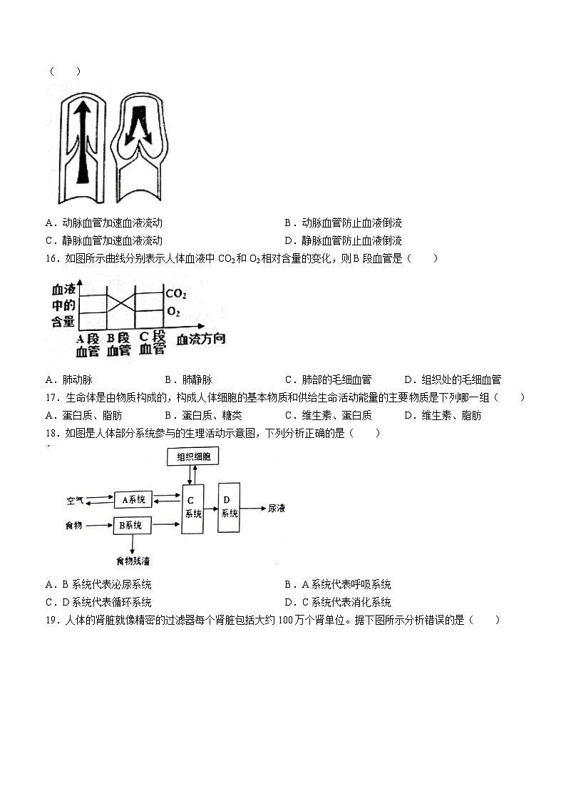 ，河南省商丘市虞城县2023-2024学年七年级下学期4月期中生物试题(无答案)03