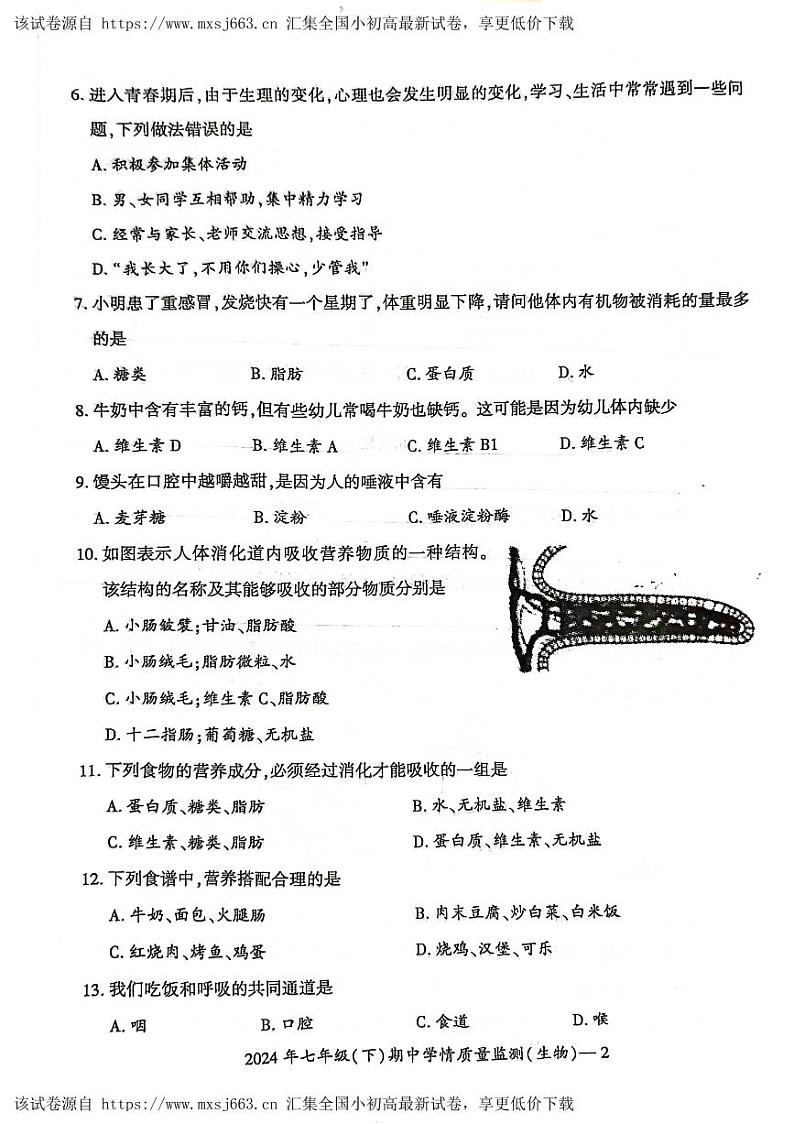 ，湖南省邵阳市2023-2024学年七年级下学期4月期中生物试题第2页