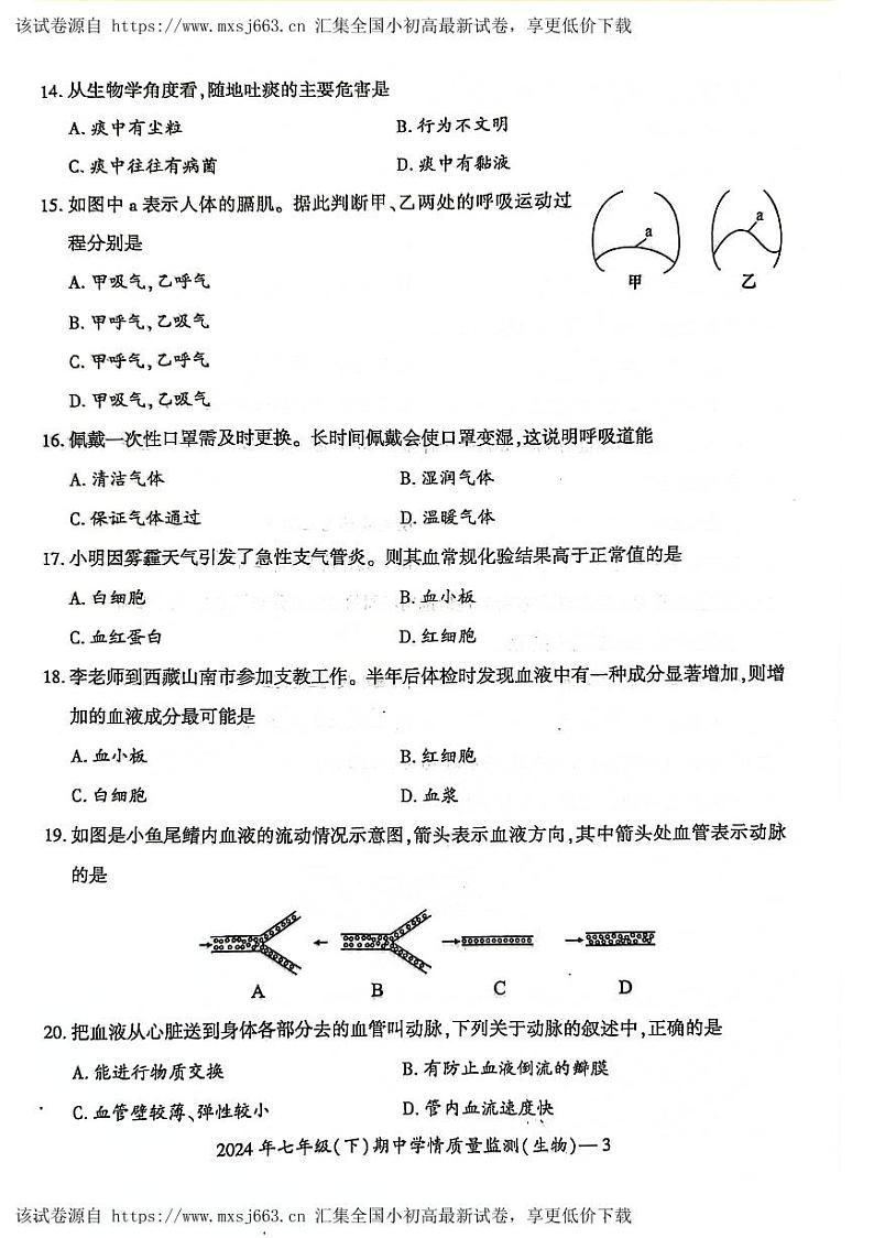 ，湖南省邵阳市2023-2024学年七年级下学期4月期中生物试题第3页