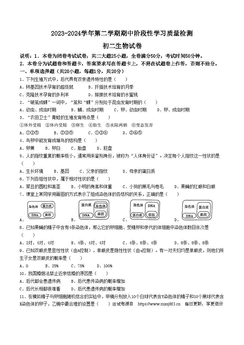 ，江西省南昌市第一中学教育集团2023-2024学年八年级下学期期中阶段性学习质量检测生物试卷(无答案)第1页
