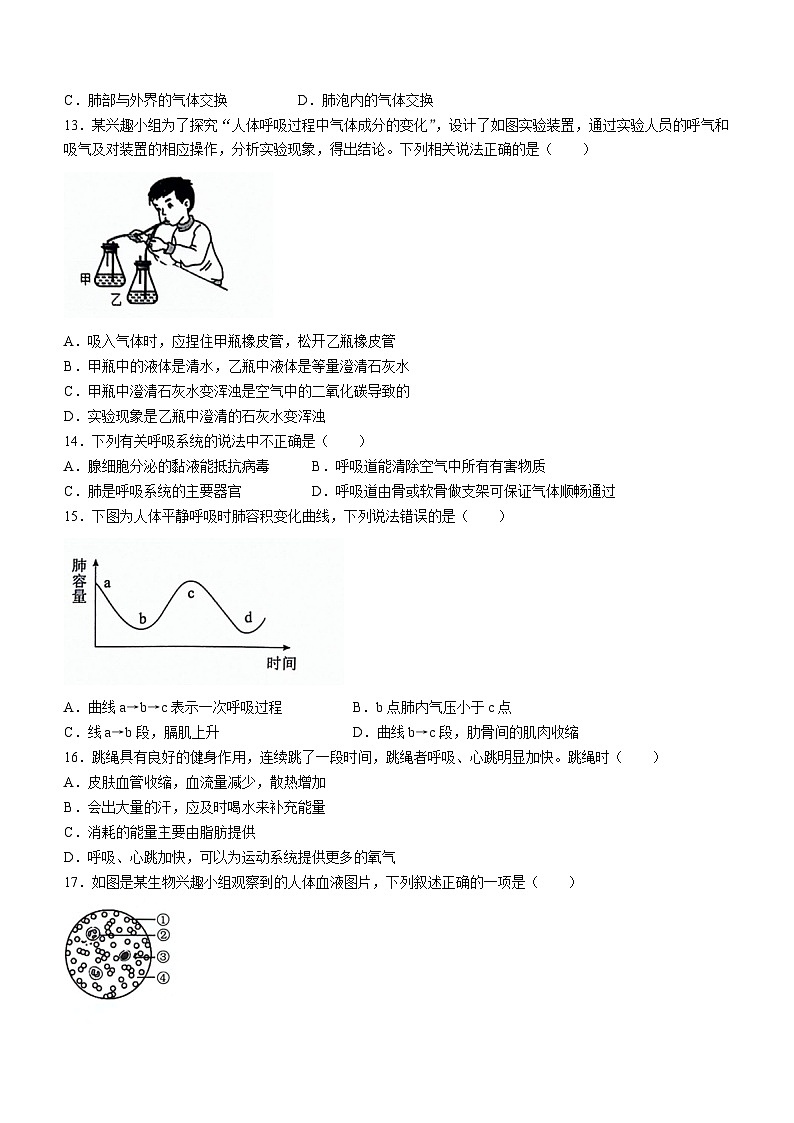 ，山东省聊城市阳谷县2023-2024学年七年级下学期4月期中生物试题(无答案)第3页
