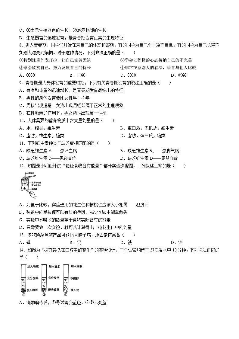 ，山东省临沂市费县2023-2024学年七年级下学期期中考试生物试题(无答案)02
