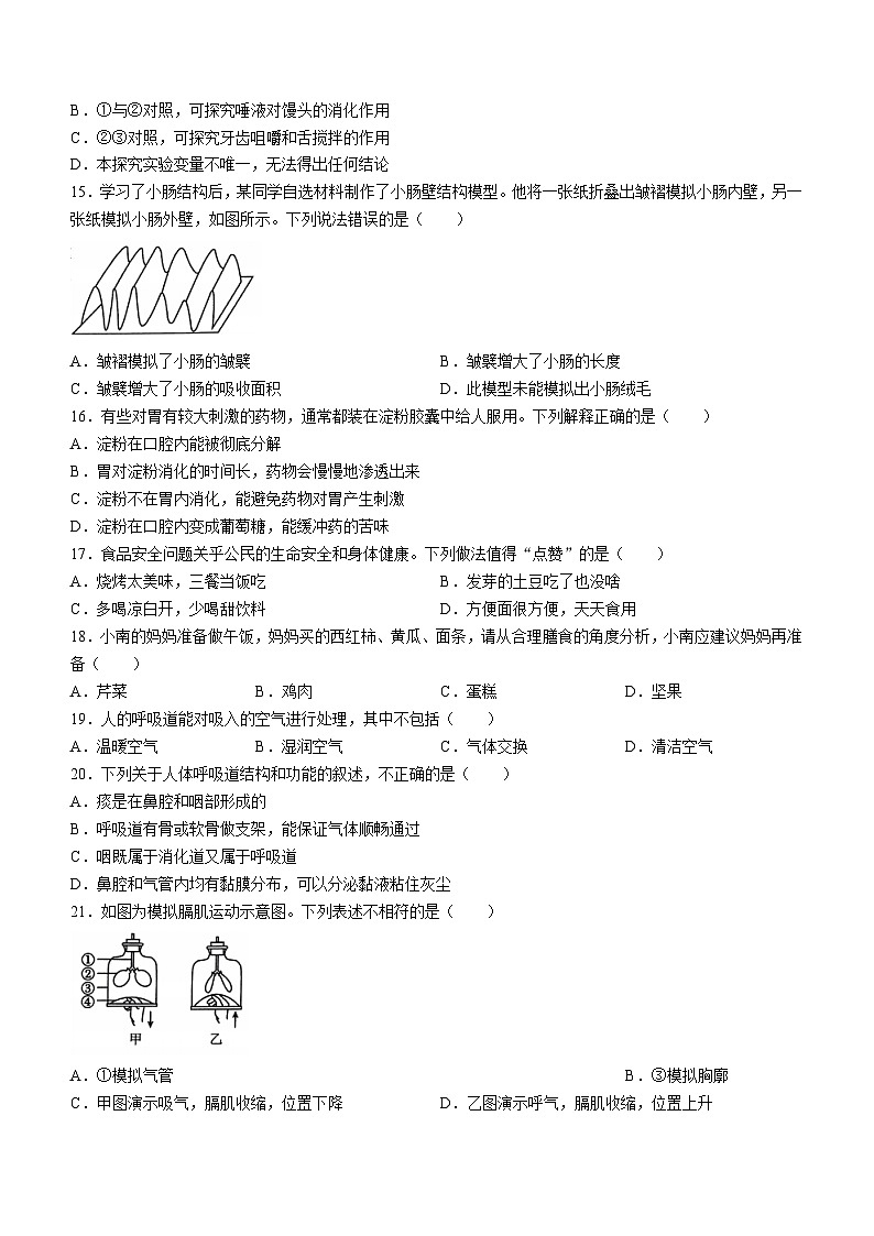 ，山东省临沂市费县2023-2024学年七年级下学期期中考试生物试题(无答案)03