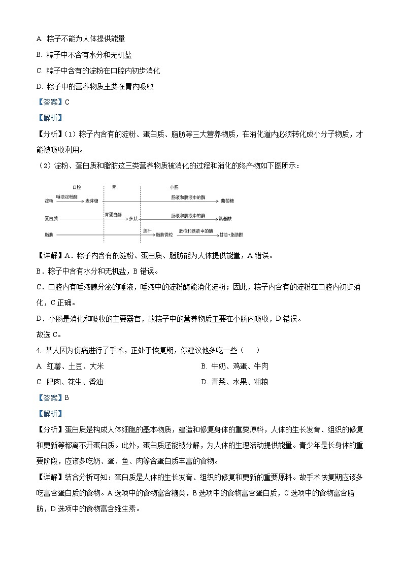 吉林省长春市德惠市2023-2024学年七年级下学期期中生物试题（原卷版+解析版）02