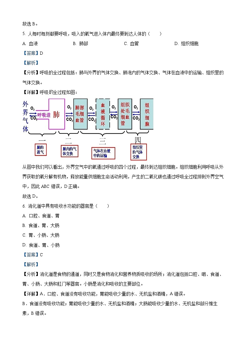 吉林省长春市德惠市2023-2024学年七年级下学期期中生物试题（原卷版+解析版）03