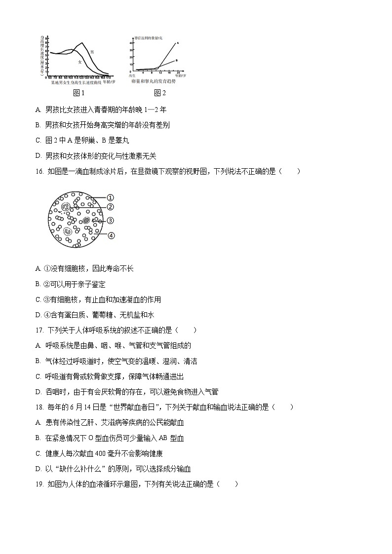 吉林省长春市德惠市2023-2024学年七年级下学期期中生物试题（原卷版+解析版）03