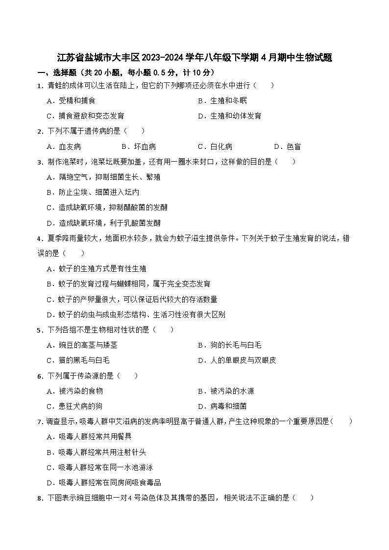 江苏省盐城市大丰区2023-2024学年八年级下学期4月期中生物试题+01
